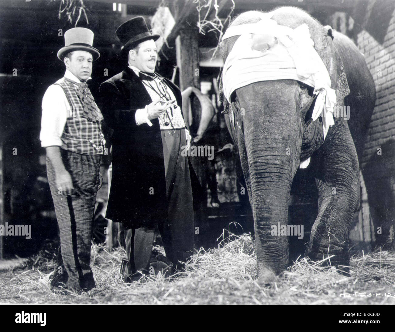 ZENOBIA (1939) ELEPHANTS NEVER FORGET (ALT) HARRY LANGDON, OLIVER HARDY, GORDON DOUGLAS (DIR) ZNBA 001 P Stock Photo