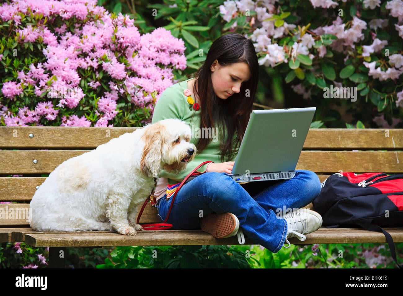 A Teenage Girl Sitting On A Park Bench With Her Dog And Working On Her ...