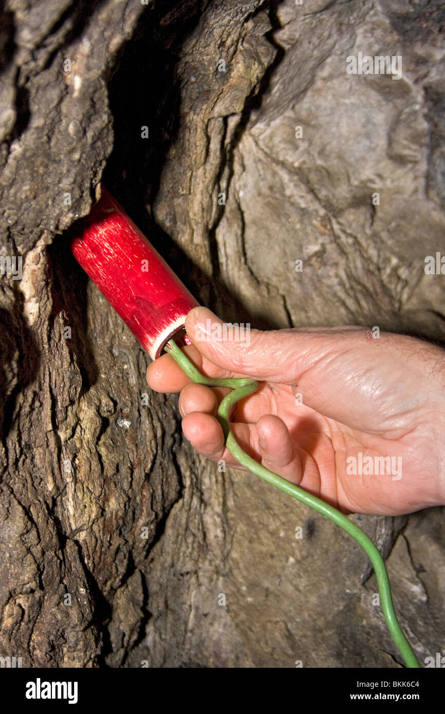 Miner pushes dynamite into hole to show how mining was done during gold rush days. This was known as single jacking. Stock Photo