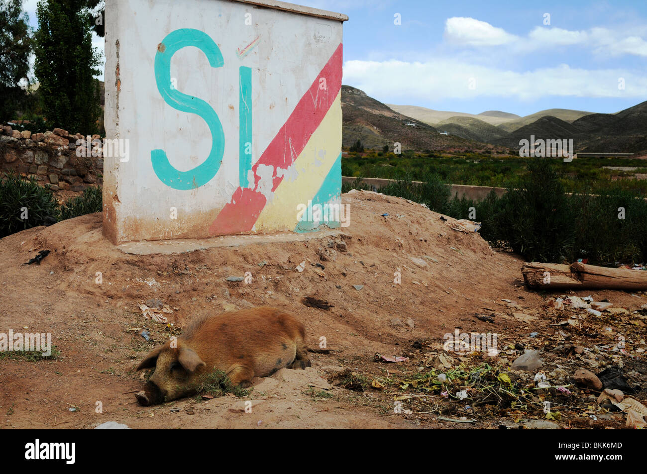 Scene from the small town of Macha in the Bolivian highlands. Stock Photo