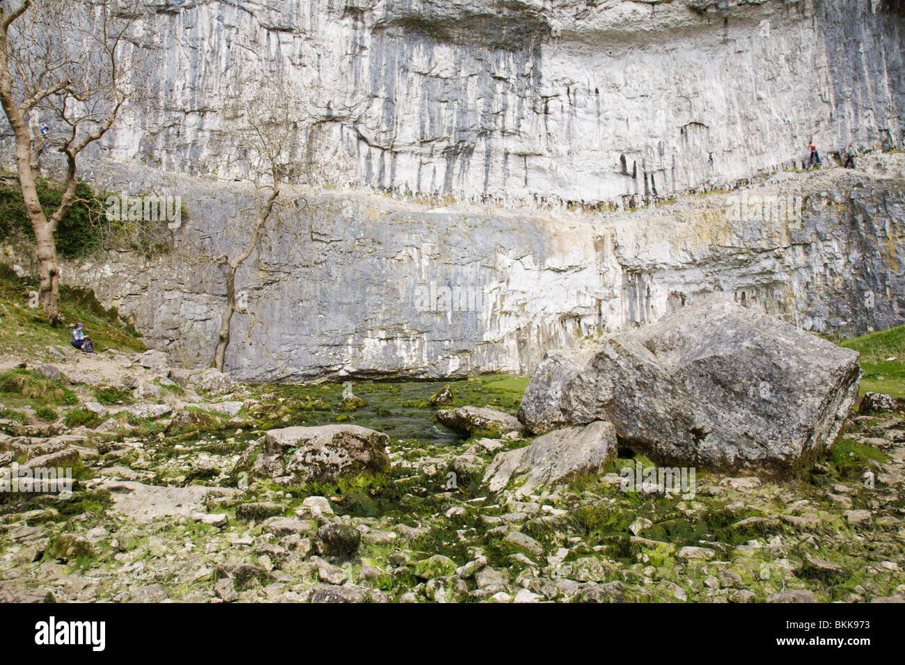 The base of the Limestone cliff at 'Malham Cove', Yorkshire Dales, England, UK. Stock Photo