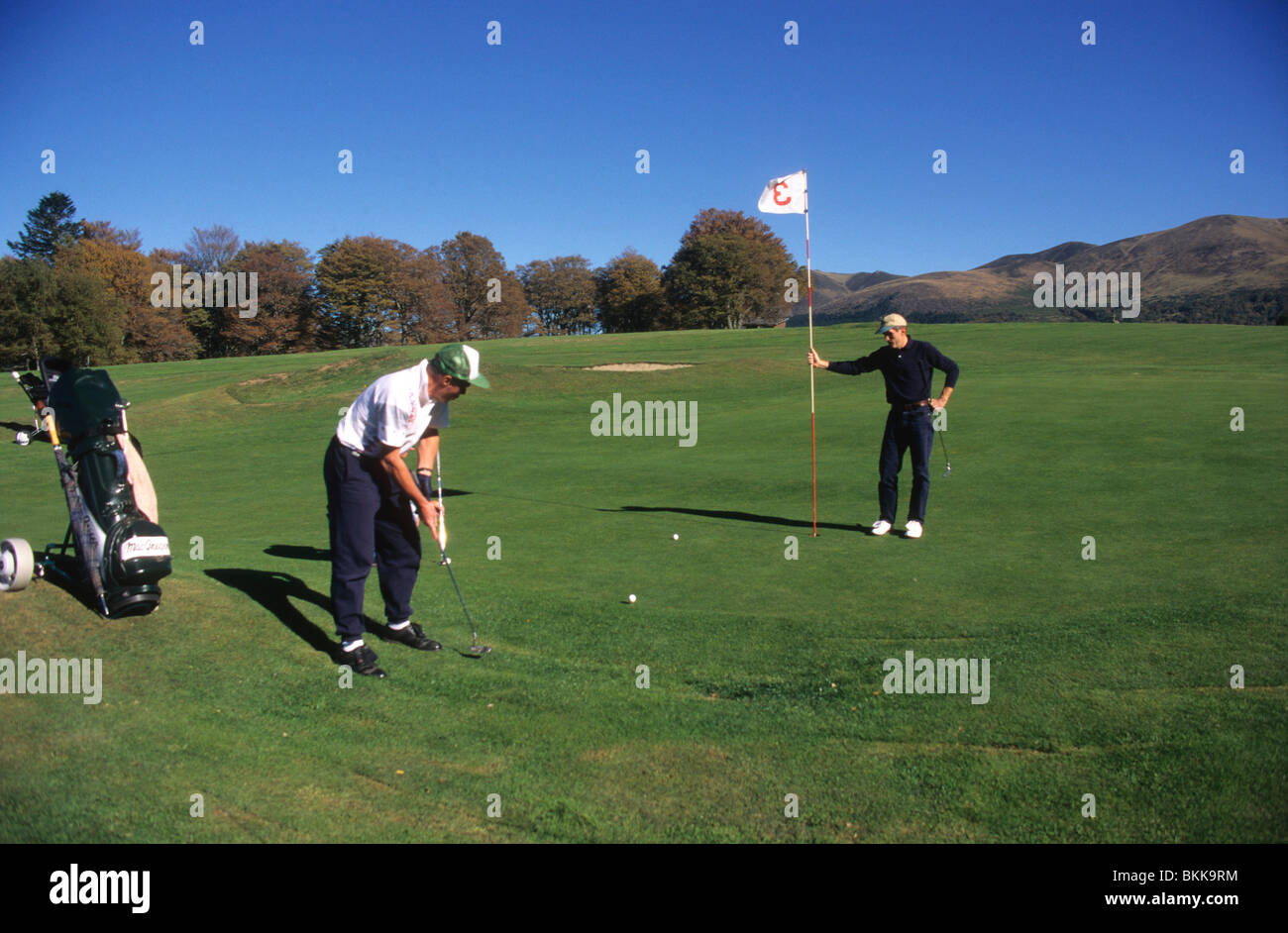 People playing golf - Golfers putting golf ball into hole. Stock Photo