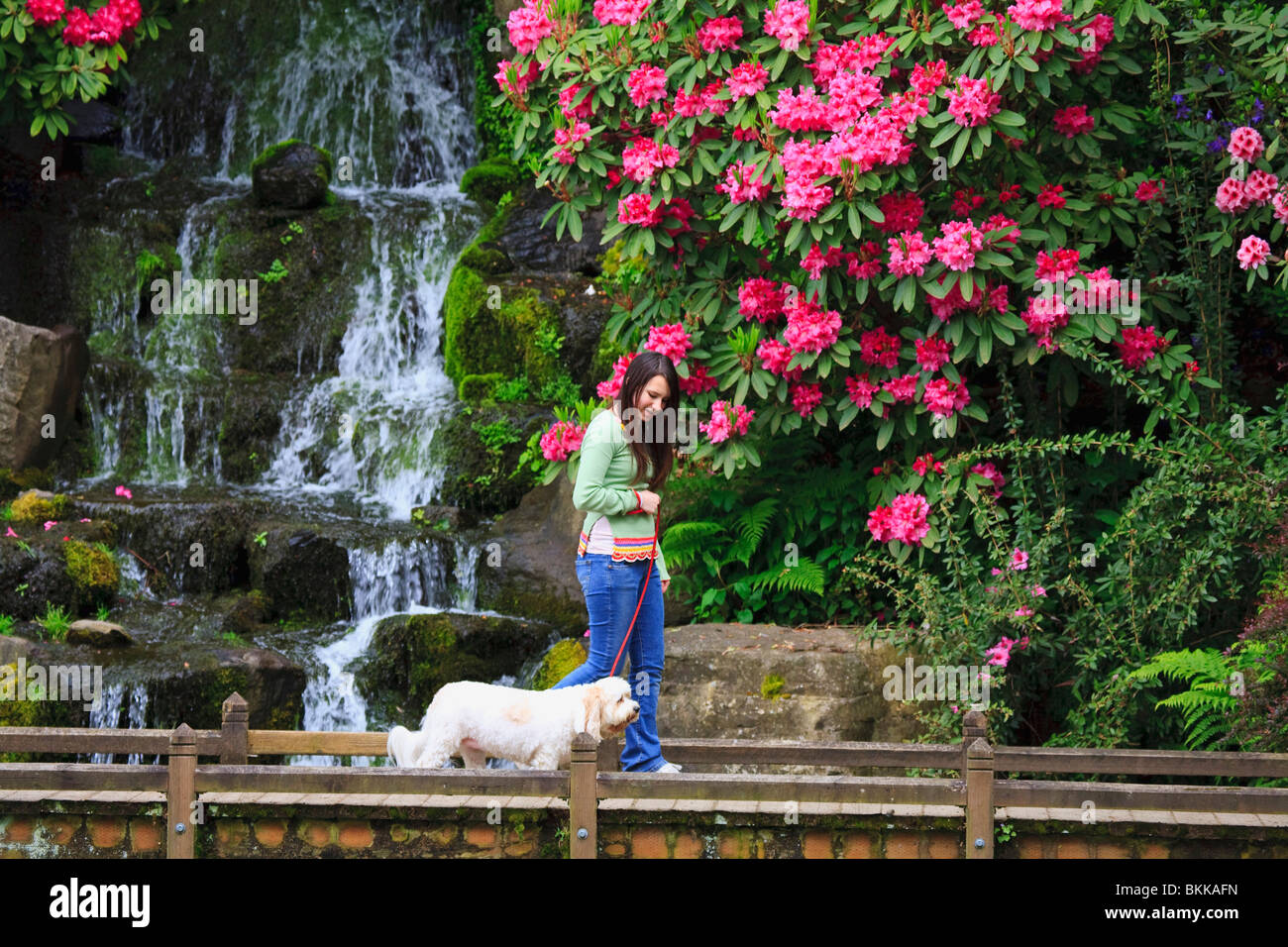 A Girl Walking Her Dog In The Park Stock Photo - Alamy