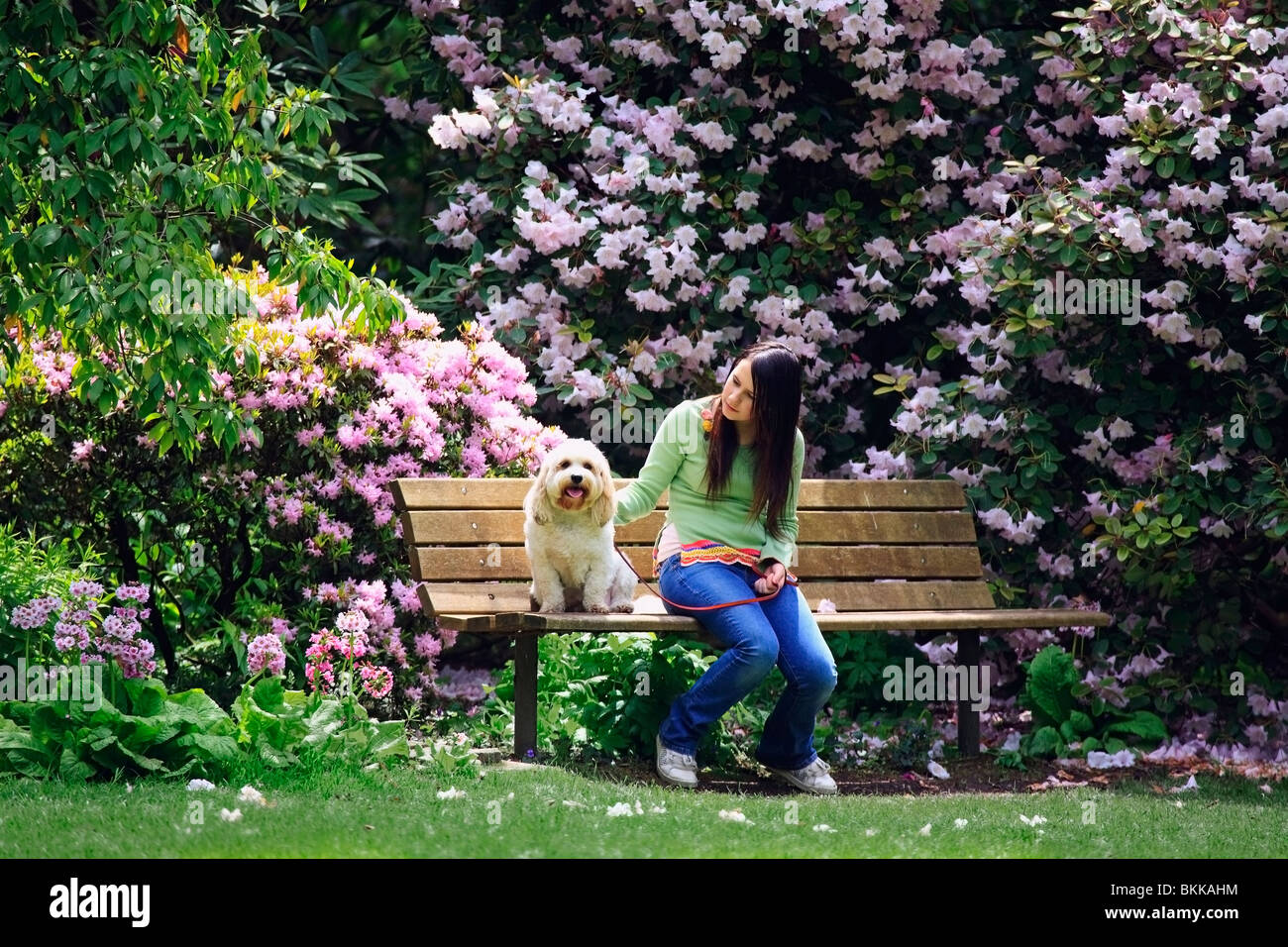 A Girl Sitting On A Bench With Her Dog In The Park Stock Photo - Alamy