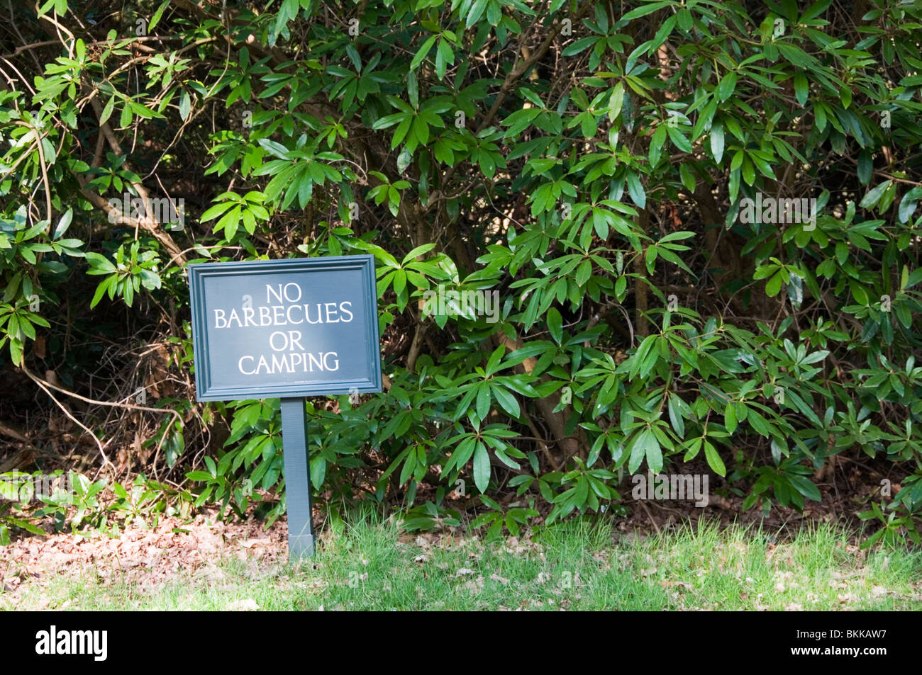 No Barbecues or Camping sign at Sandringham Country Park, Norfolk, England Stock Photo