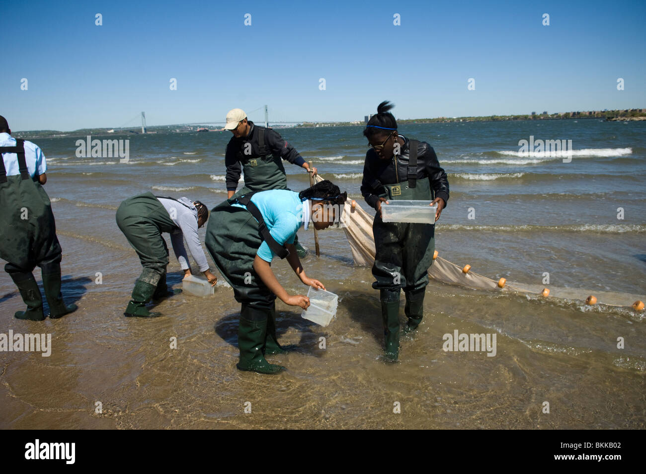 What's So Great About New York City Water? - 6sqft