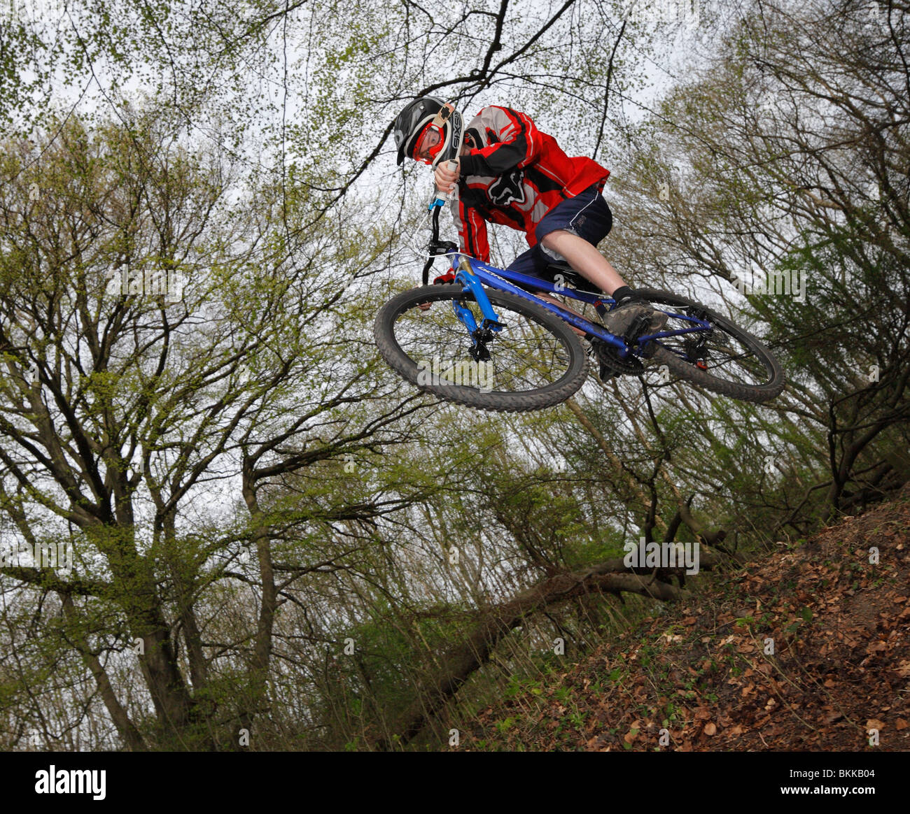 Freeriding dirt bike jumper. Stock Photo