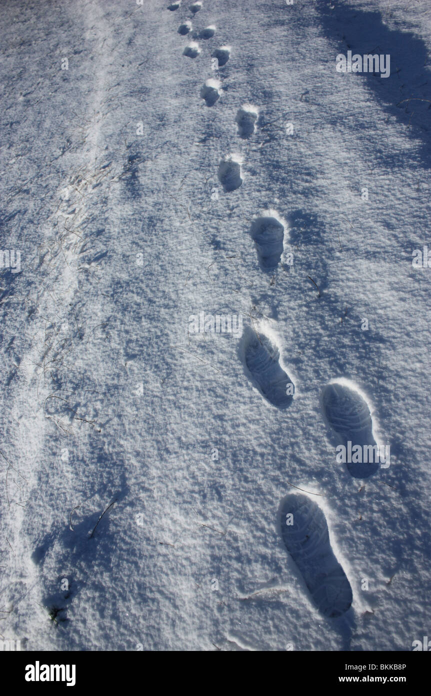 Snow Step Foot of steps hi-res stock photography and images - Alamy