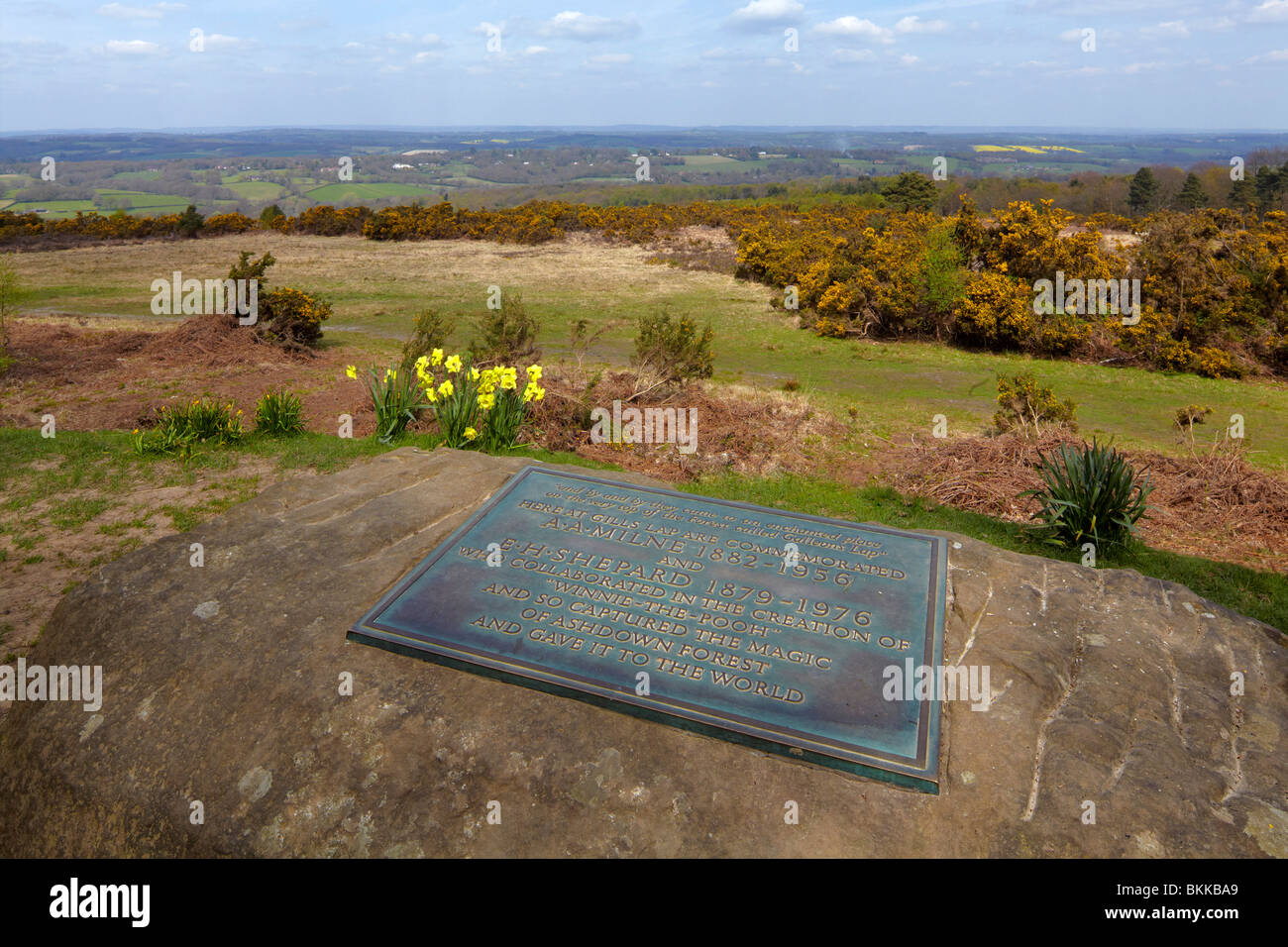 Memorial tablet to A A Milne and E H Shepard, writer and illustrator of the Winnie the Pooh stories. Ashdown Forest Stock Photo