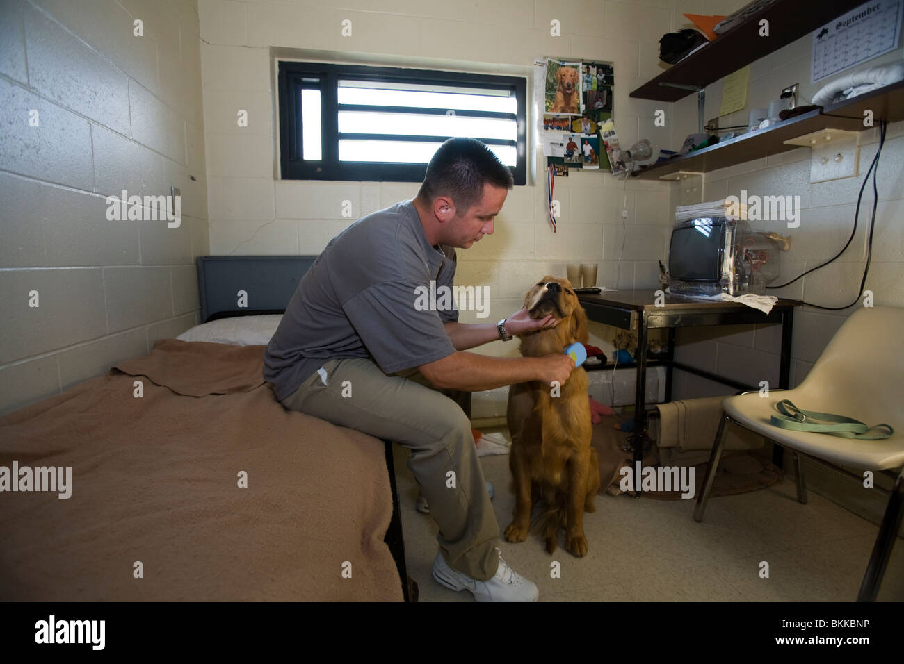 Inmate with dog in cell. Program helps inmates learn discipline and responsibility and helps the dogs find an adoptive home. Stock Photo