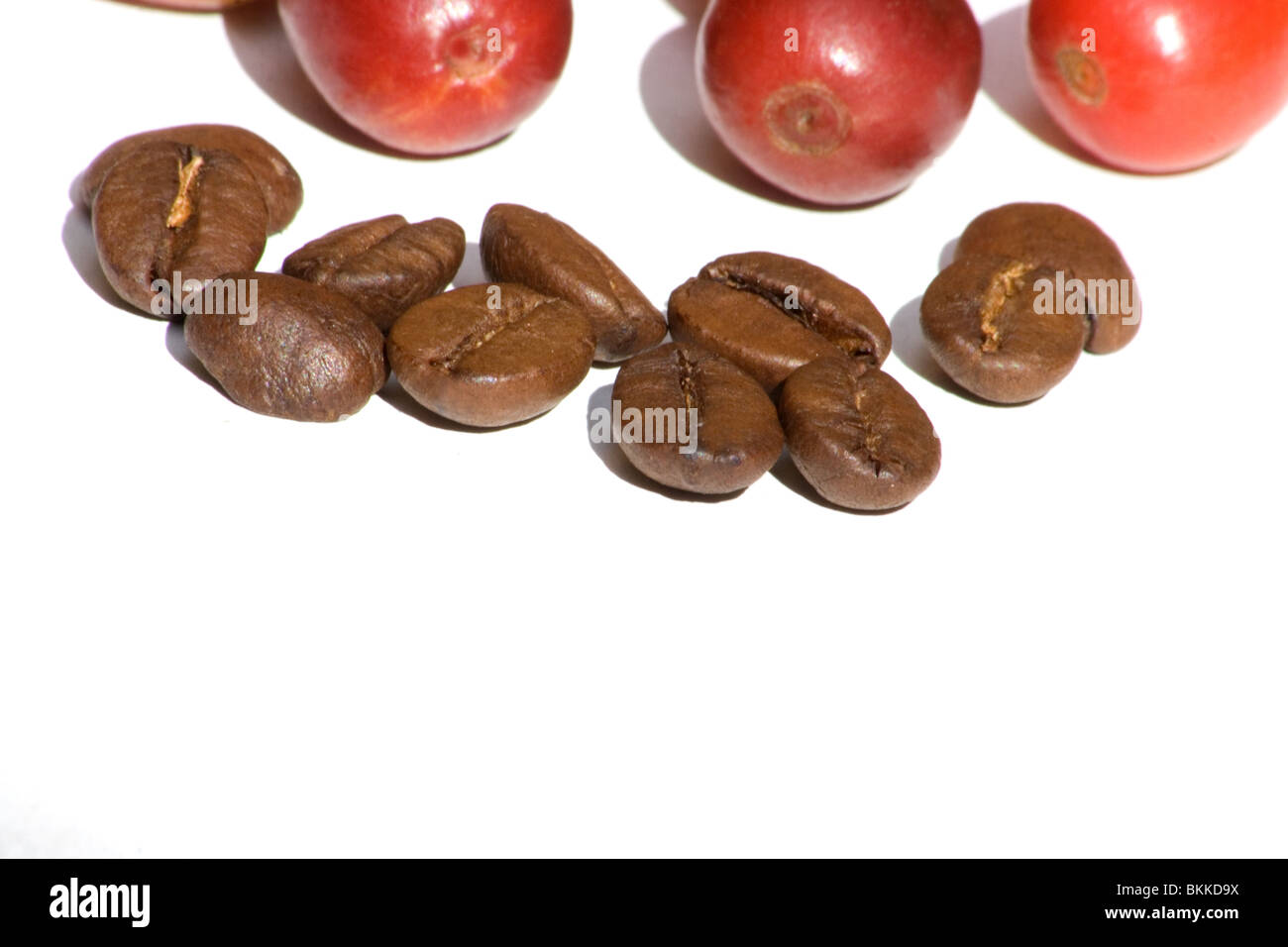 Close-up of fresh coffee cherries and roasted coffee beans Stock Photo