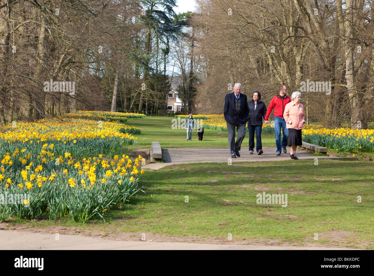 Woman walking in public park hi-res stock photography and images - Alamy