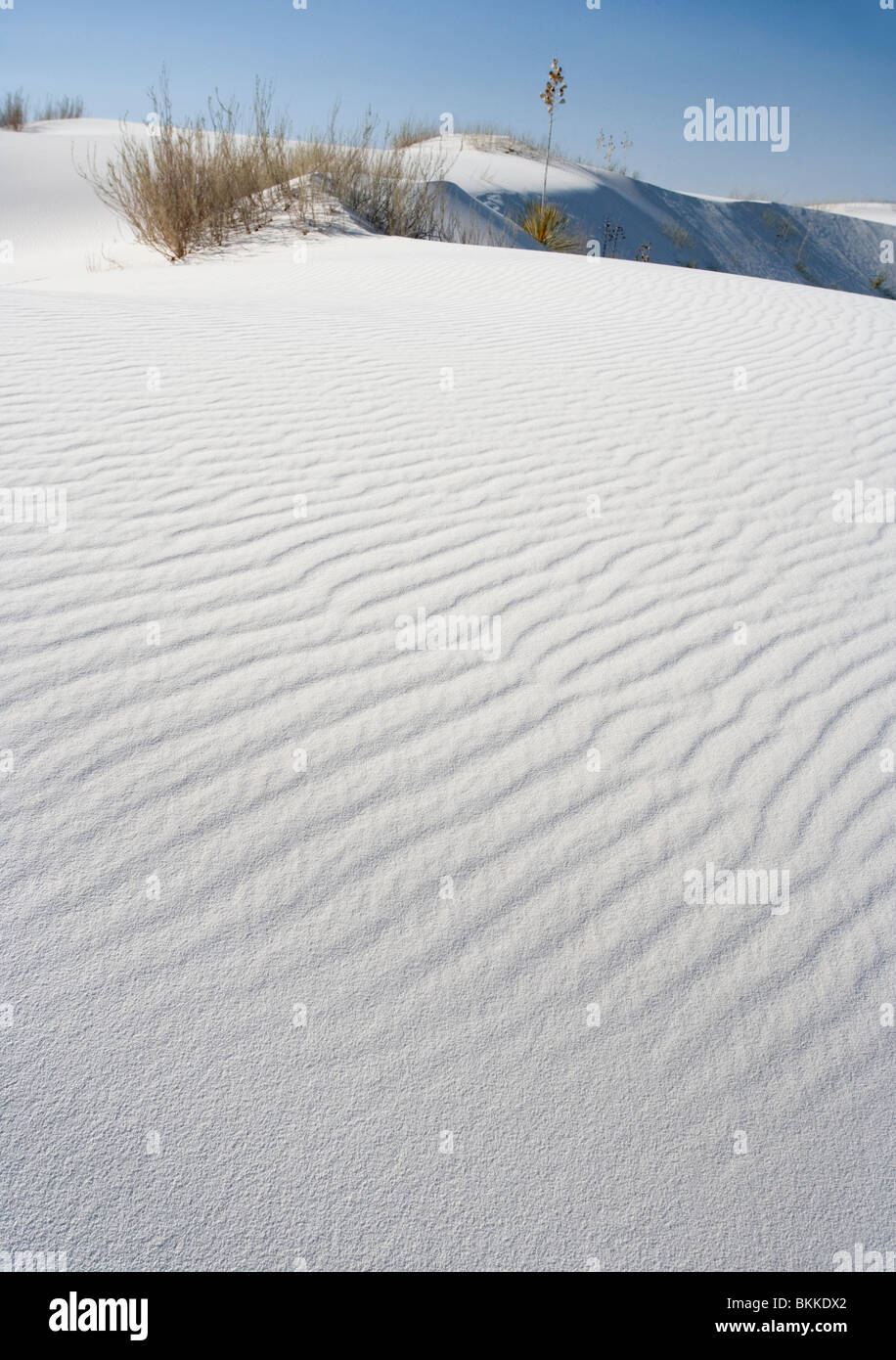 A ripple-covered dune of white gypsum-ladden sand at White Sands National Monument, New Mexico. Stock Photo