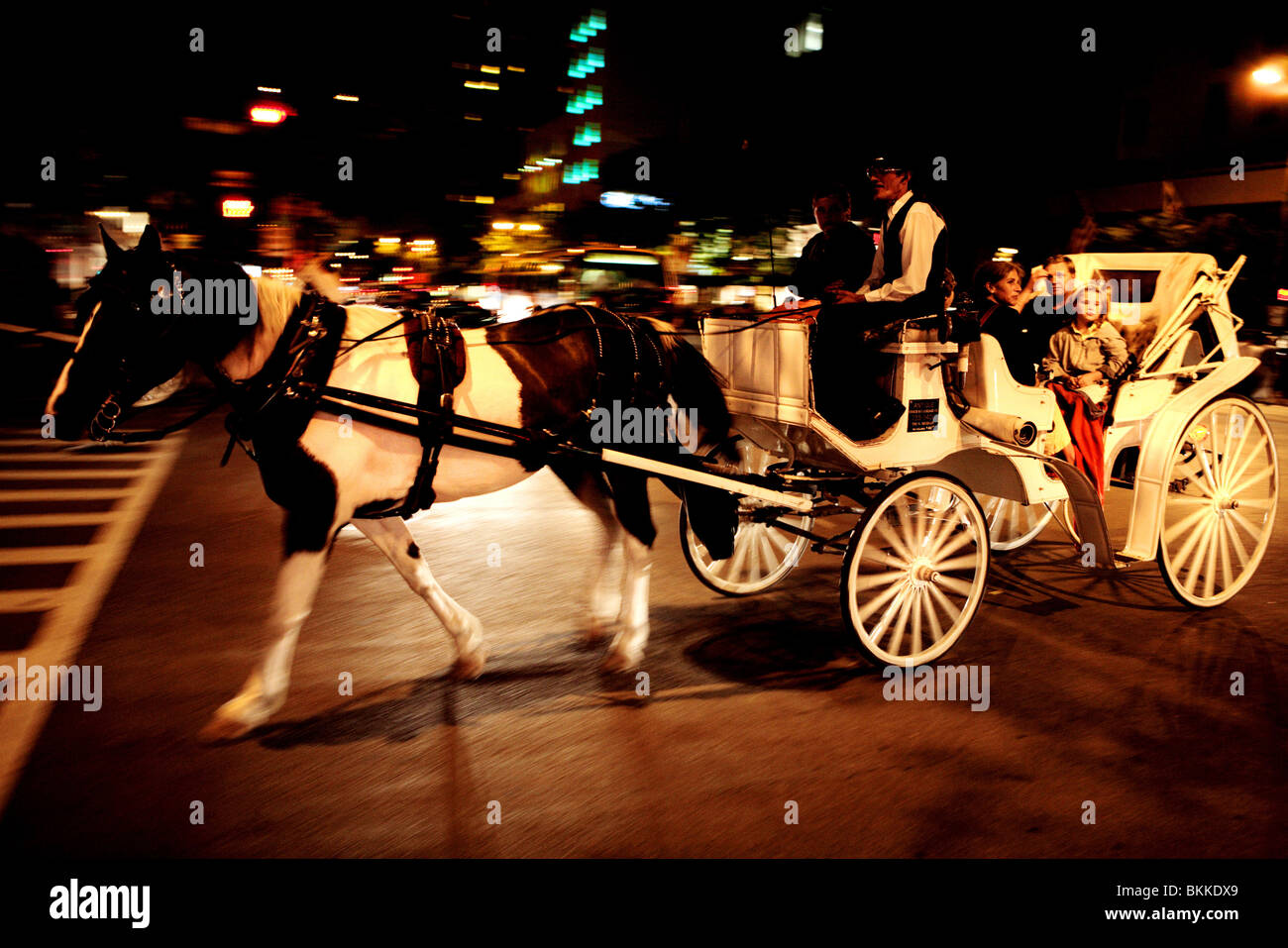 HORSEDRAWN CARRIAGE CROSSING MICHIGAN AVENUE IN DOWNTOWN, CHICAGO, ILLINOIS, USA Stock Photo