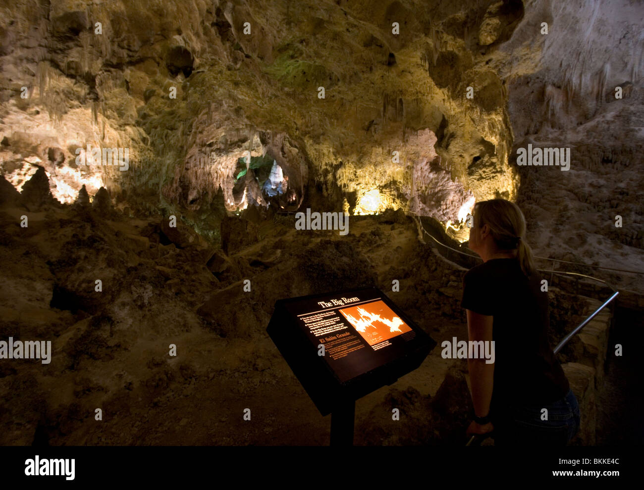 The Big Room inside Carlsbad Caverns is the largest known natural chamber in the western hemisphere. Stock Photo