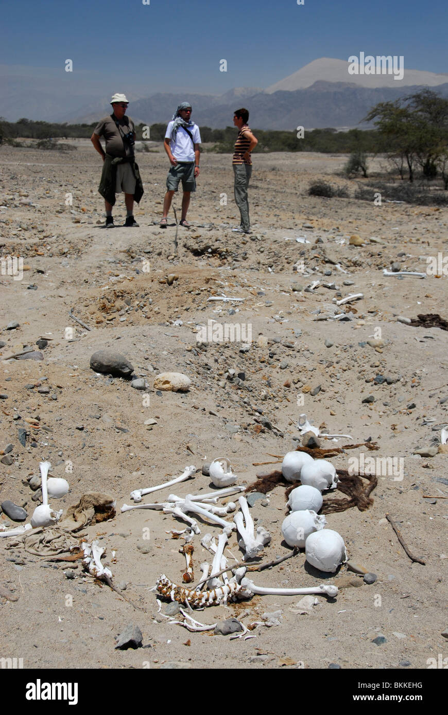 Tourists in looted Nazca desert graveyard, Cerro Blanco in background, Nazca, Peru, South America Stock Photo