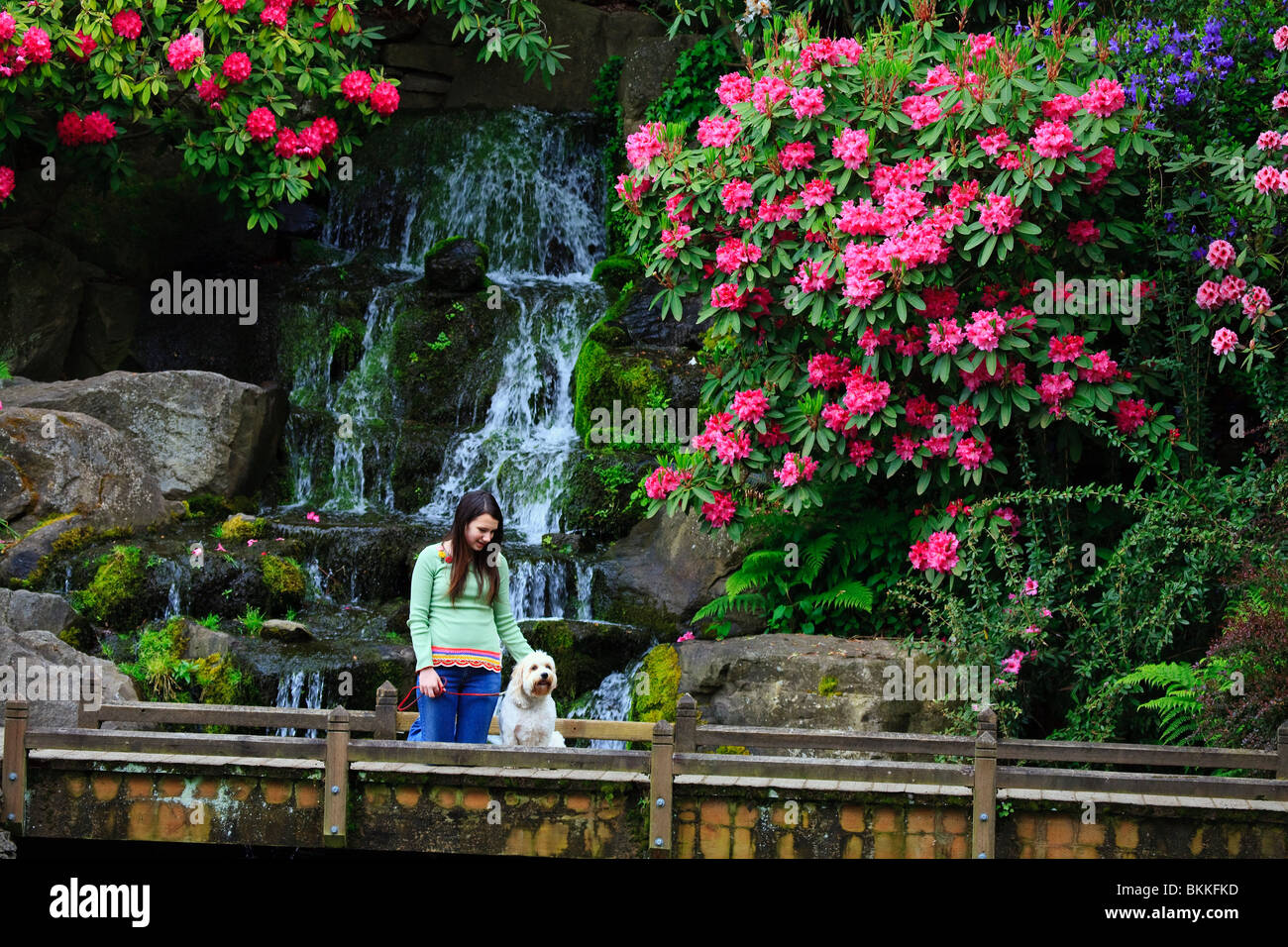 A Girl With Her Dog In The Park Stock Photo - Alamy