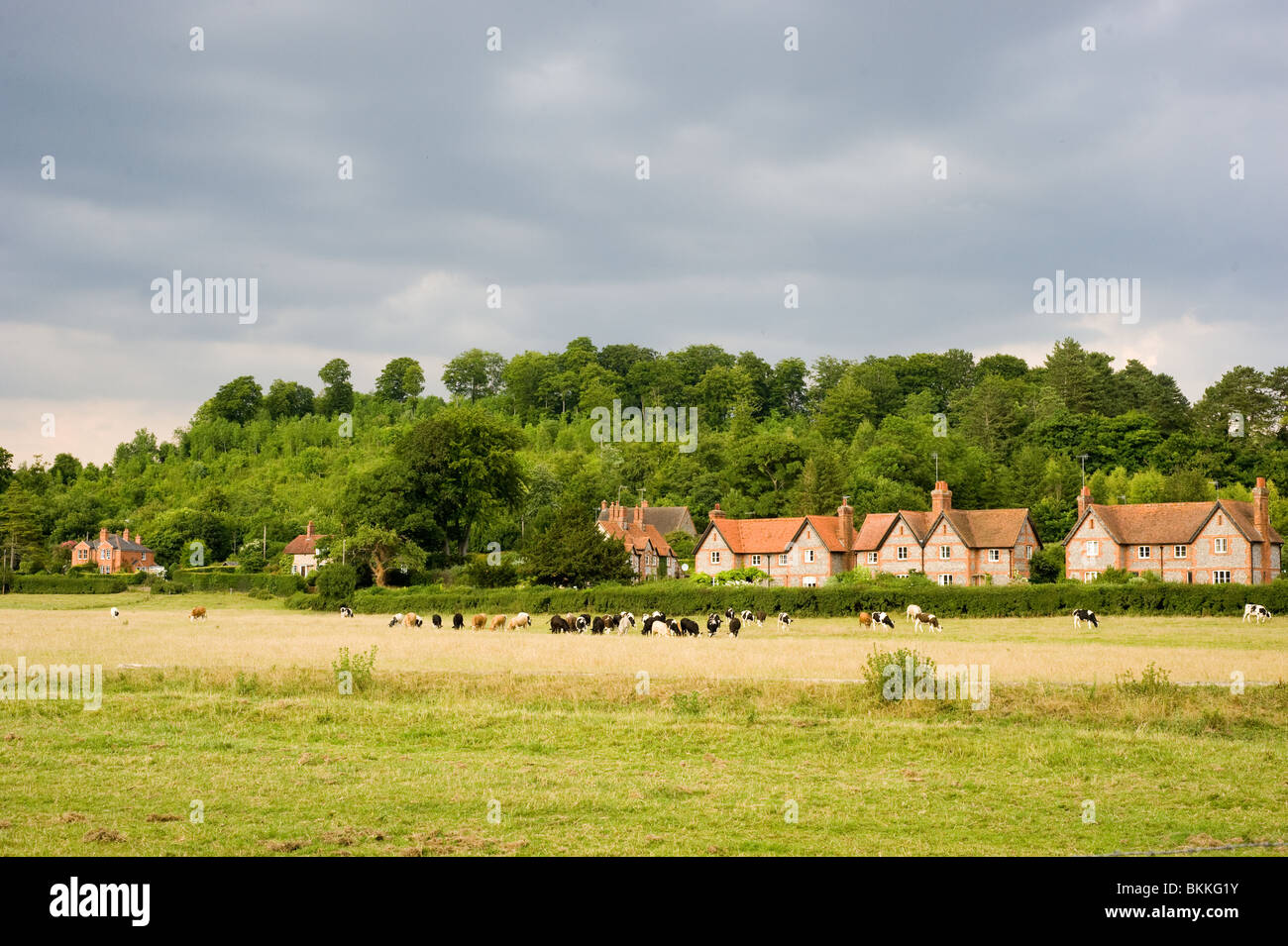 English countryside scene Stock Photo