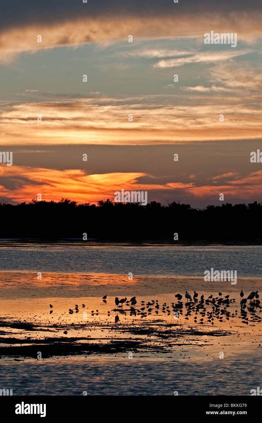 Sunset. Ding Darling Nature Reserve, Sanibel Island, Florida, USA. Note wading birds Stock Photo