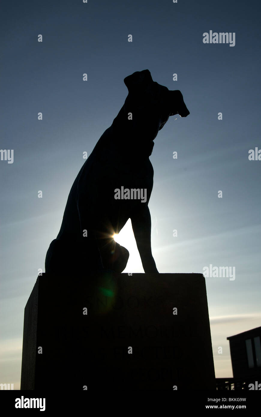 Aldeburgh Suffolk UK Sea Front Dog Statue Sculpture Silhouette Stock