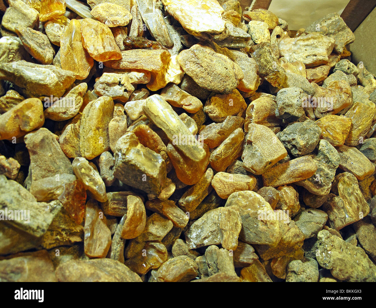 Raw hnpolished amber stones (fossilized tree resin) Stock Photo