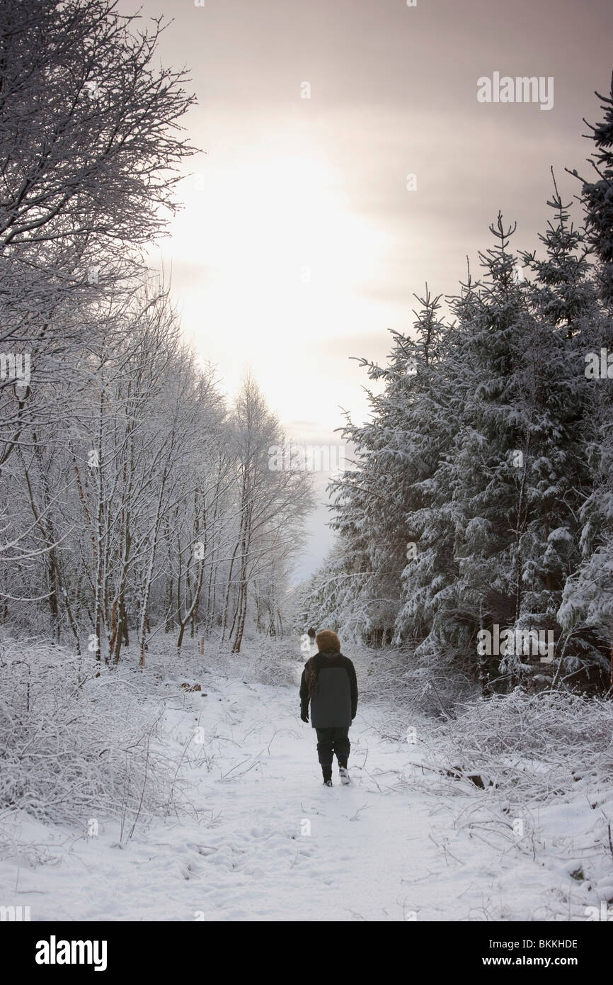 Northumberland, England; A Woman Walking Down A Snowy Path Through A Forest Stock Photo
