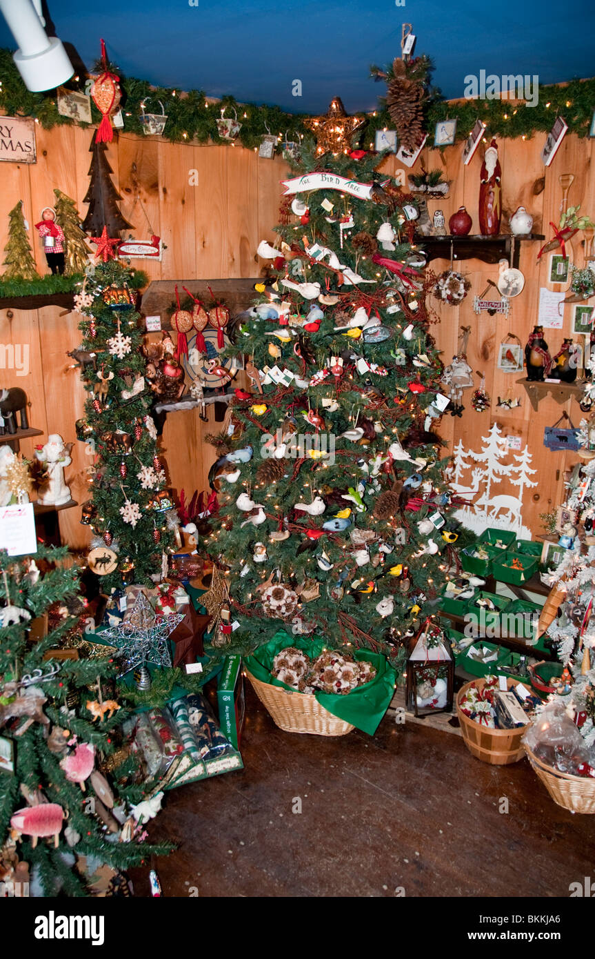Ba Country Stores Christmas 2024 Catalog Bambi Carlina
