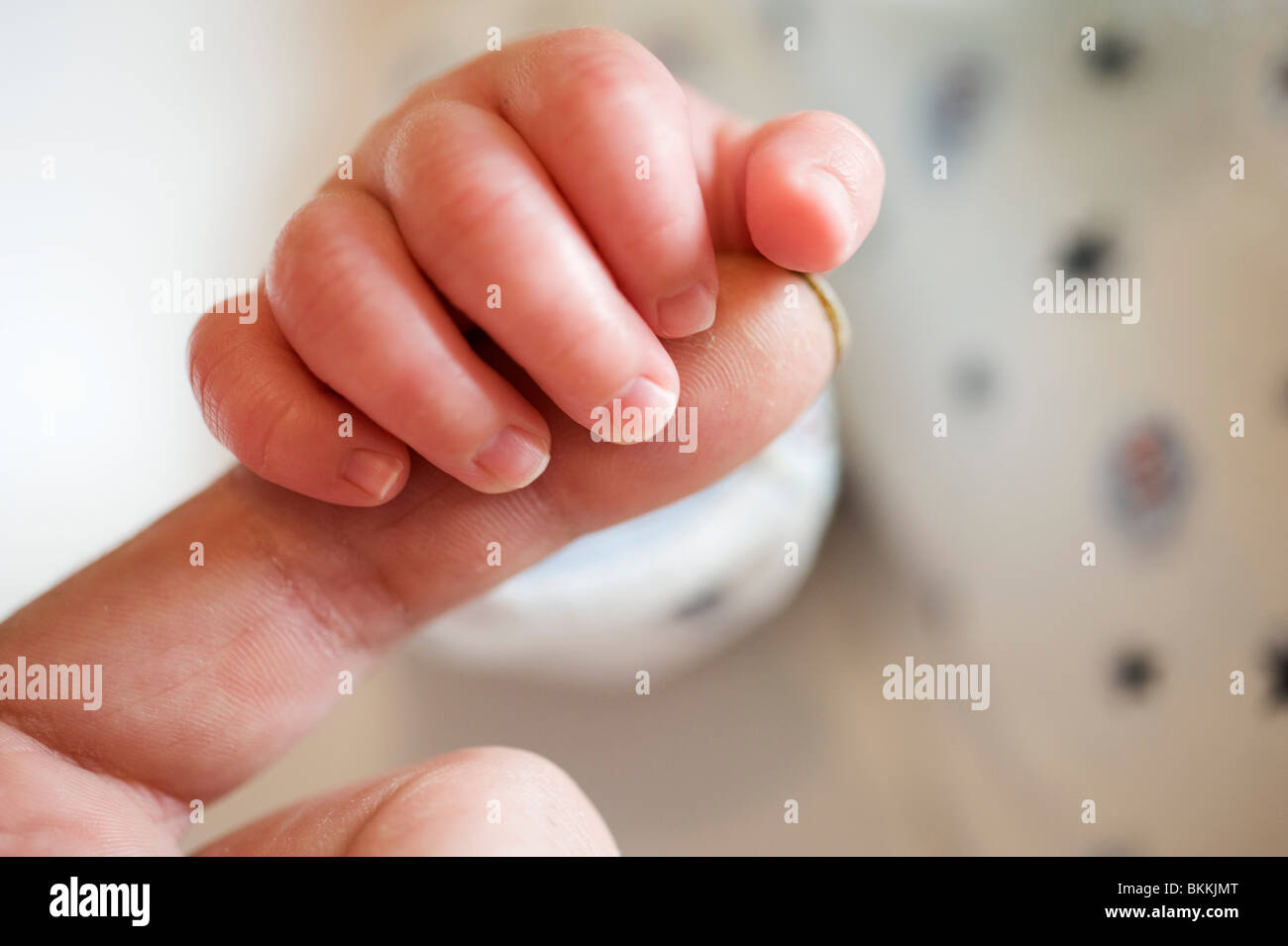 baby's hand gripping dads finger Stock Photo