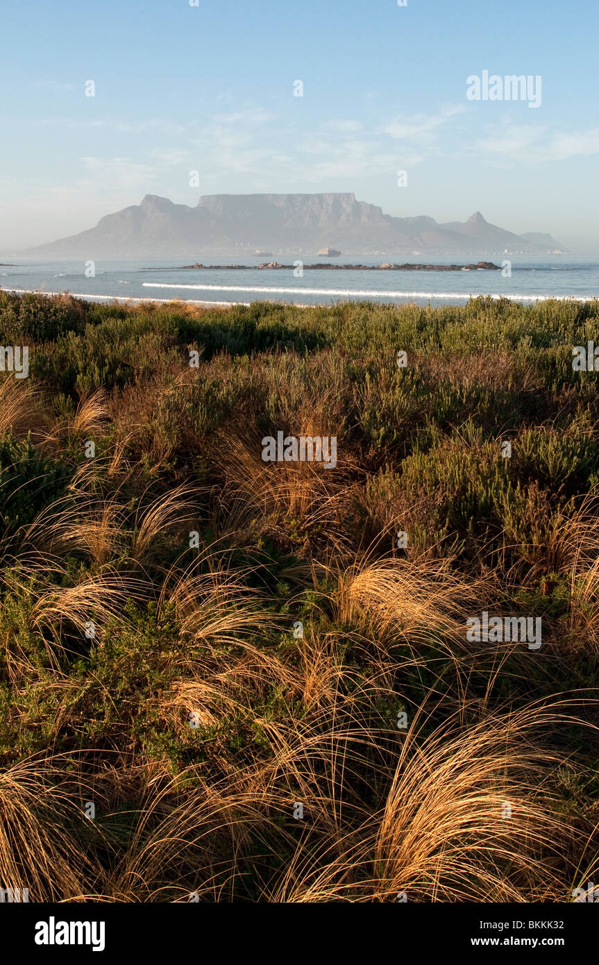 Spectacular View of Table Mountain from Blouberg Beach at Sunrise. Cape Town, South Africa Stock Photo