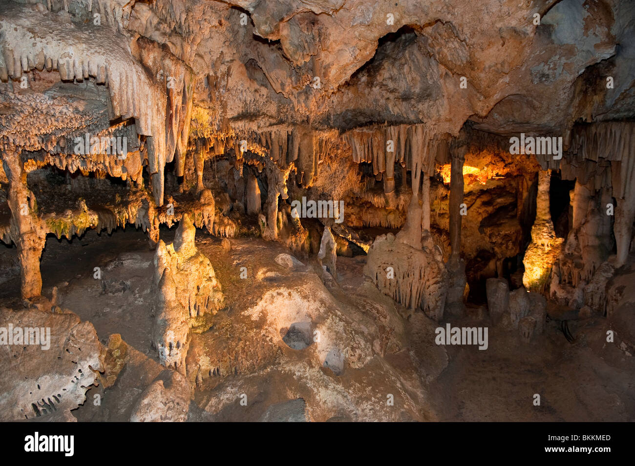 The Fairyland Chamber in the Cango Caves, Oudtshoorn, Western Cape, South Africa Stock Photo