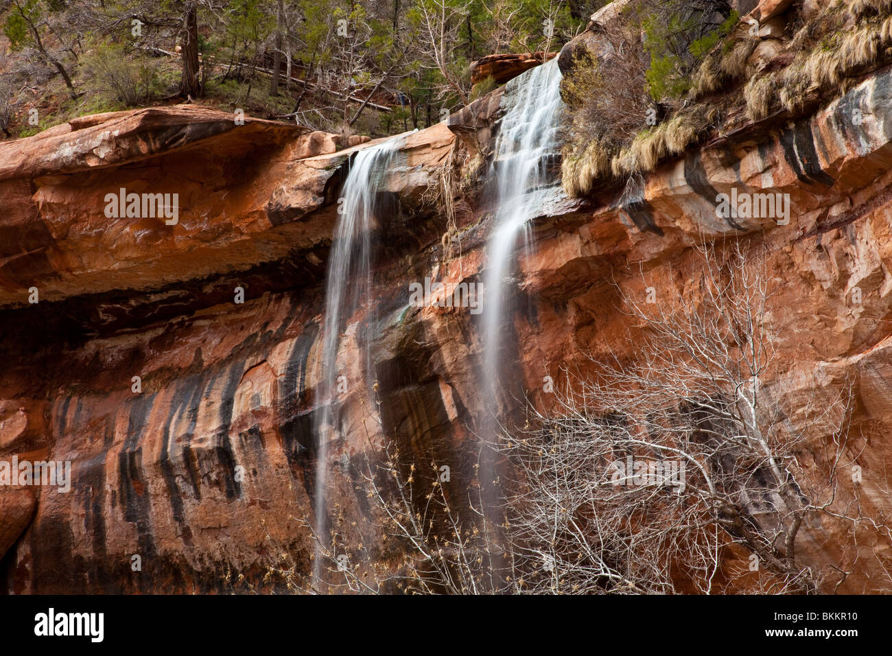 Waterfall at Zion National Park, Utah, USA Stock Photo Alamy