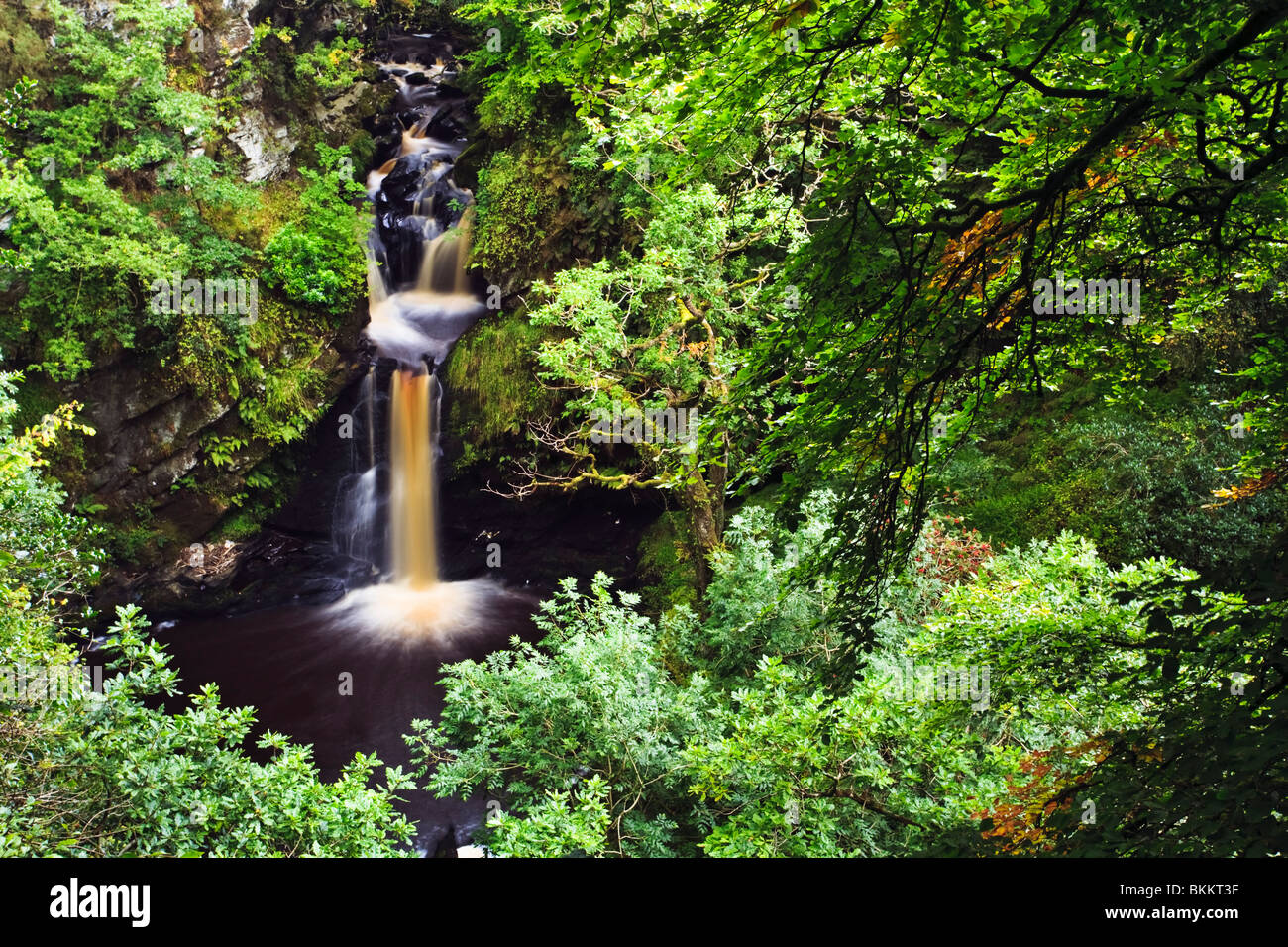 Ness Wood waterfall on the River Burntollet, County Derry, Northern Ireland Stock Photo