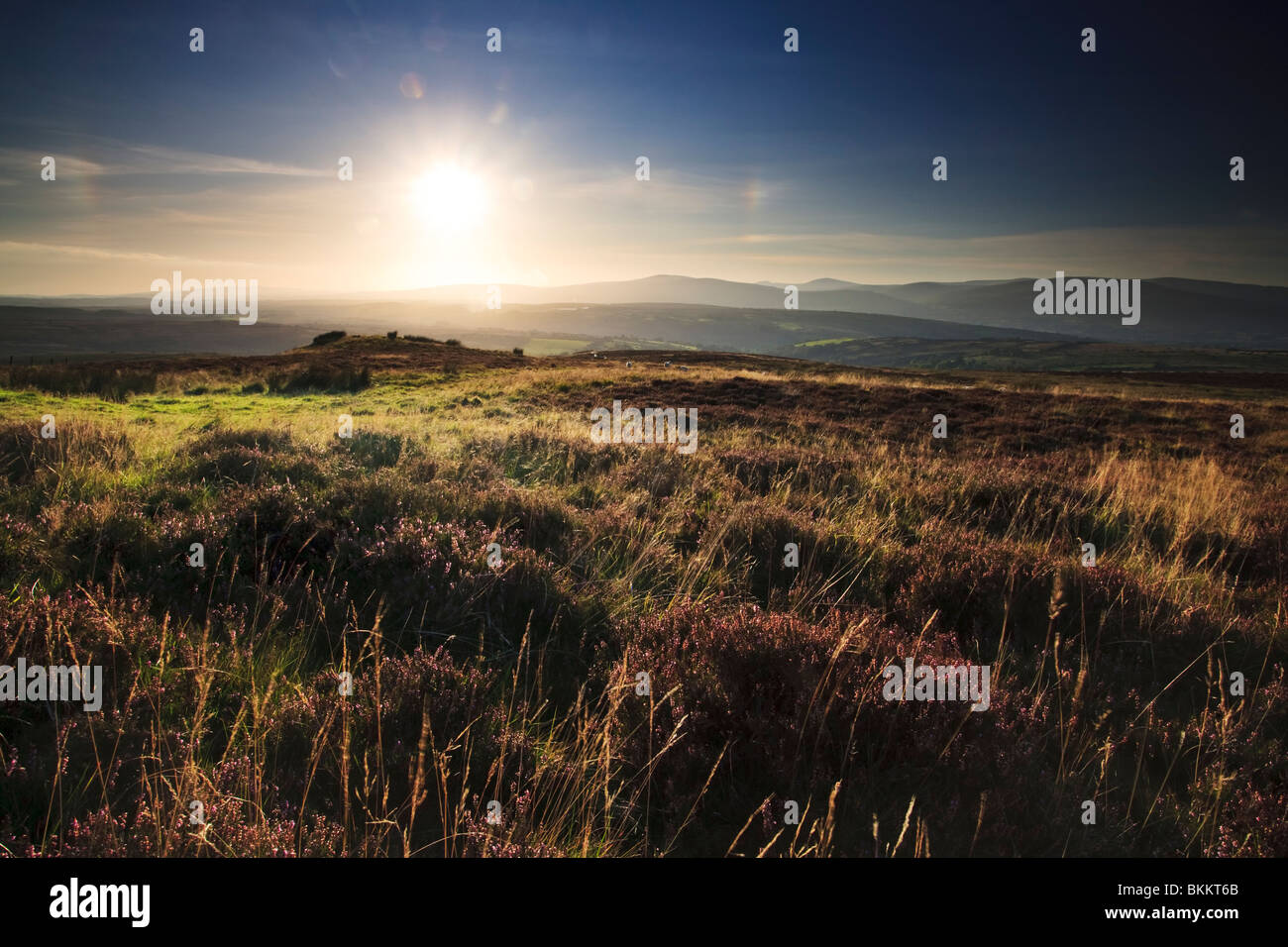 Autumnal colours on the moors of the East Sperrins near Moneymeany Stock Photo