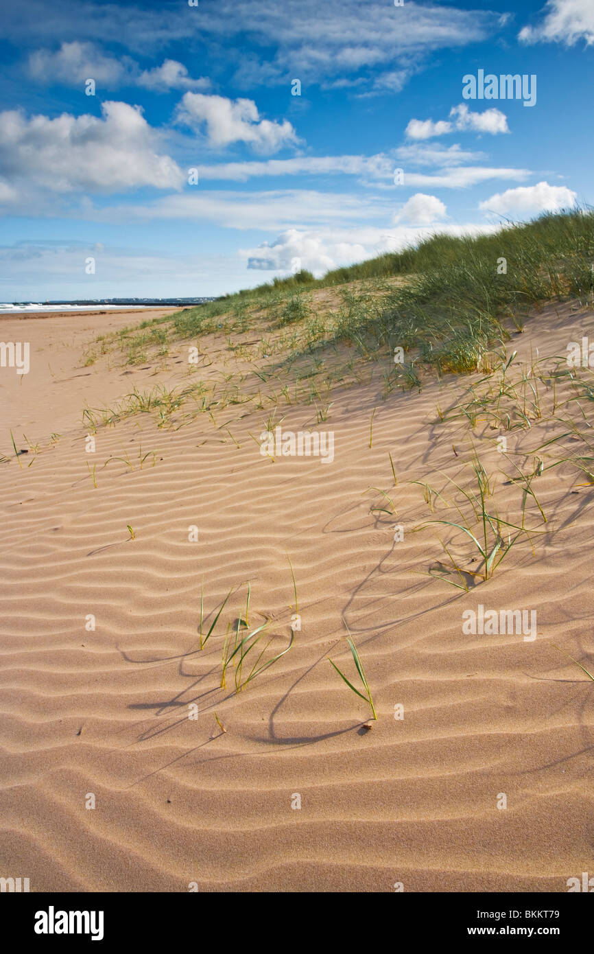 The sand dunes of Castlerock Beach looking east toward Portstewart, County Derry, Northern Ireland Stock Photo