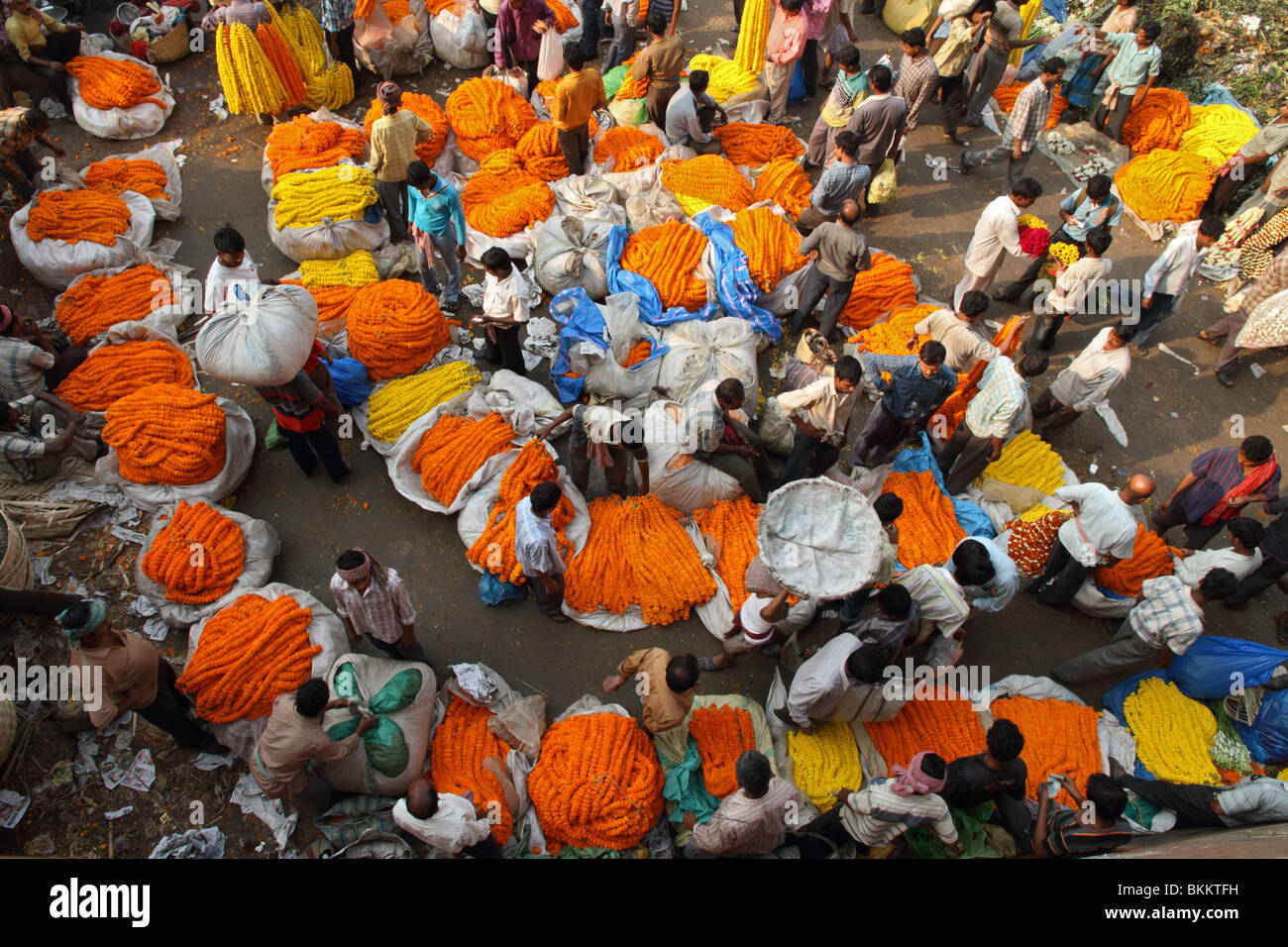 Malik Ghat flower market, Kolkata West Bengal India Stock Photo Alamy