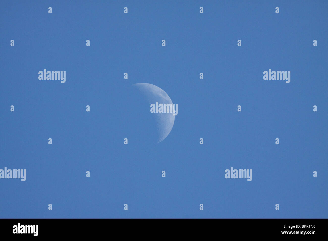 half moon lunar satellite celestial body Stock Photo