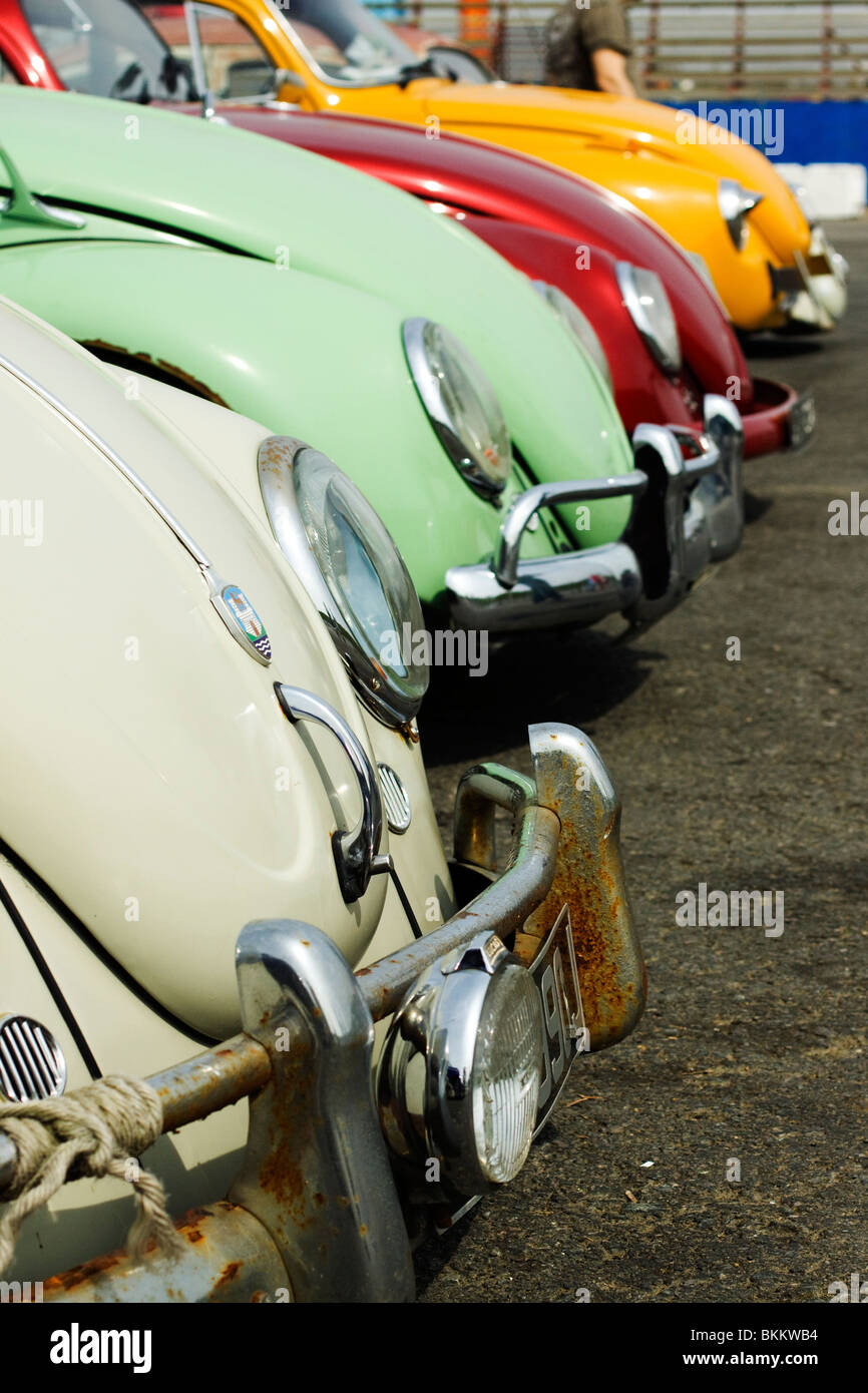 Front view of VW Beetles in a row  Santa pod raceway England Stock Photo