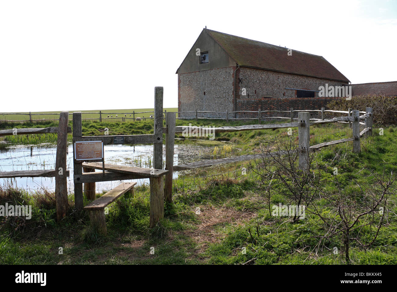 Old barn and pond on Seaford Head East Sussex England UK Stock Photo