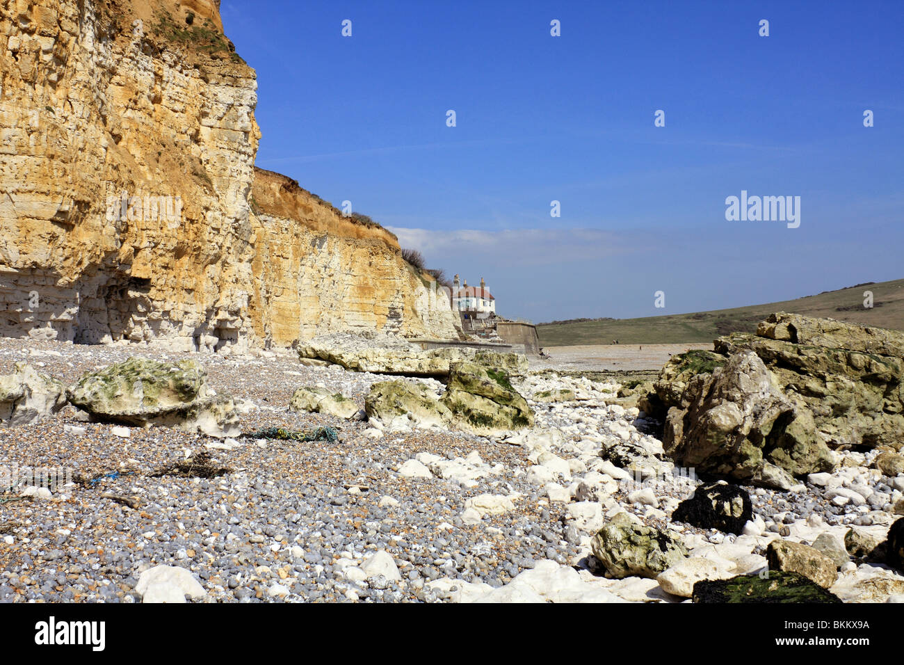 Sandstone cliffs at Seaford Head East Sussex England UK Stock Photo