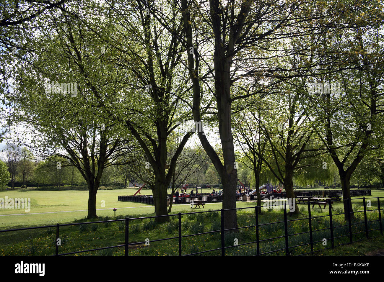 Park in Knutsford Cheshire Stock Photo Alamy