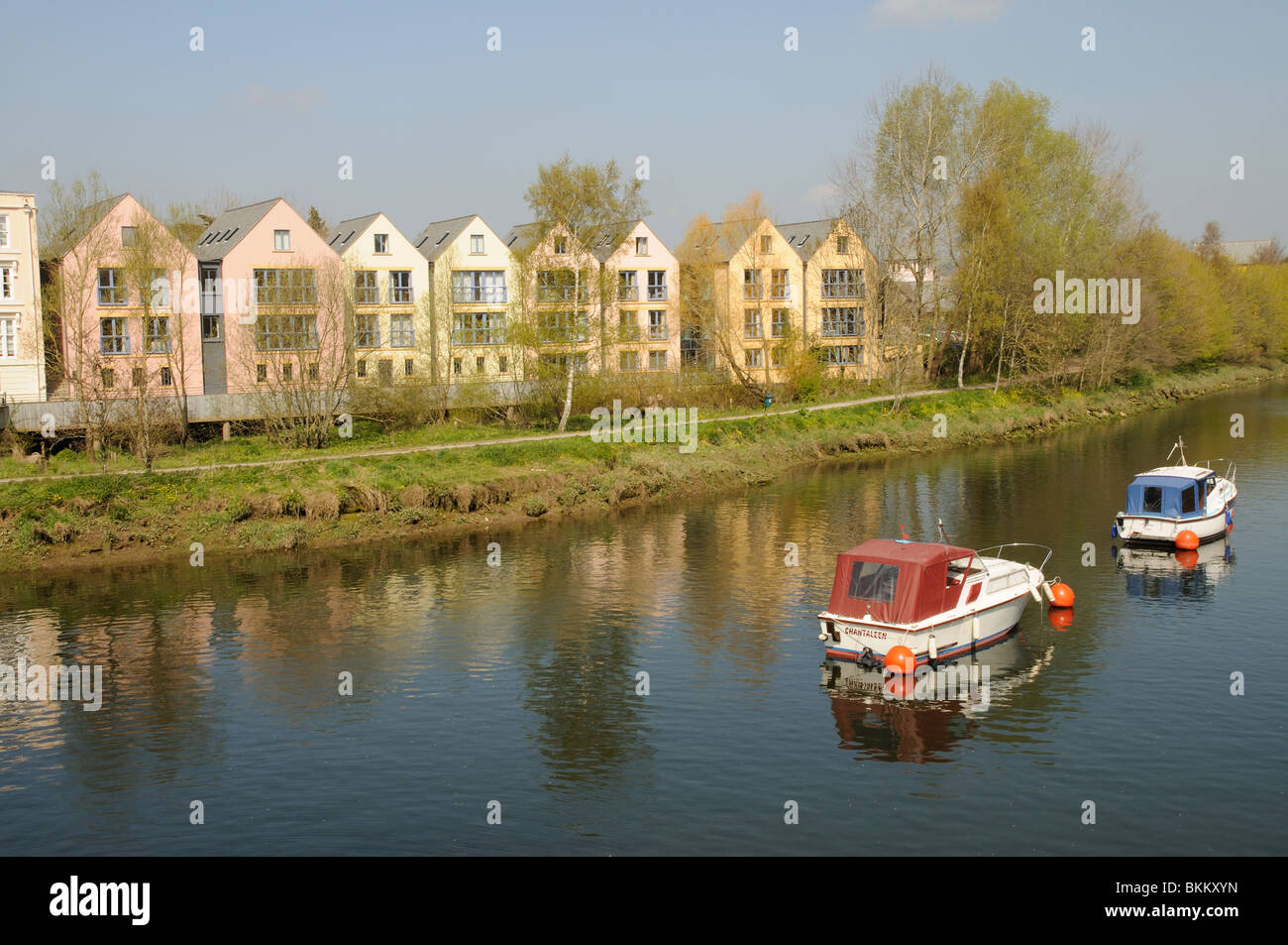 River facing properties on the River Dart at Totnes south Devon England
