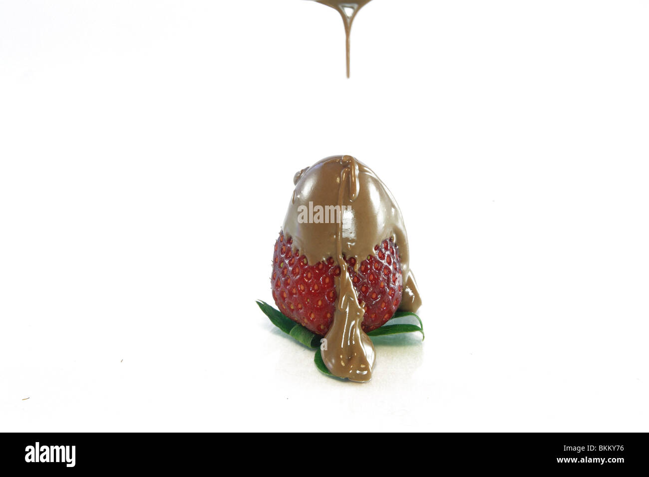 chocolate on strawberry Stock Photo