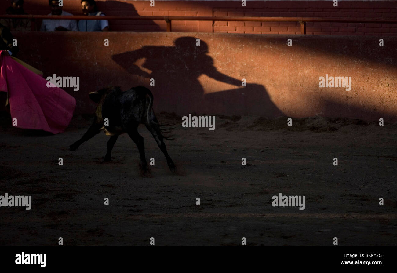 Bullfighter Bull During Bullfight High Resolution Stock Photography and ...