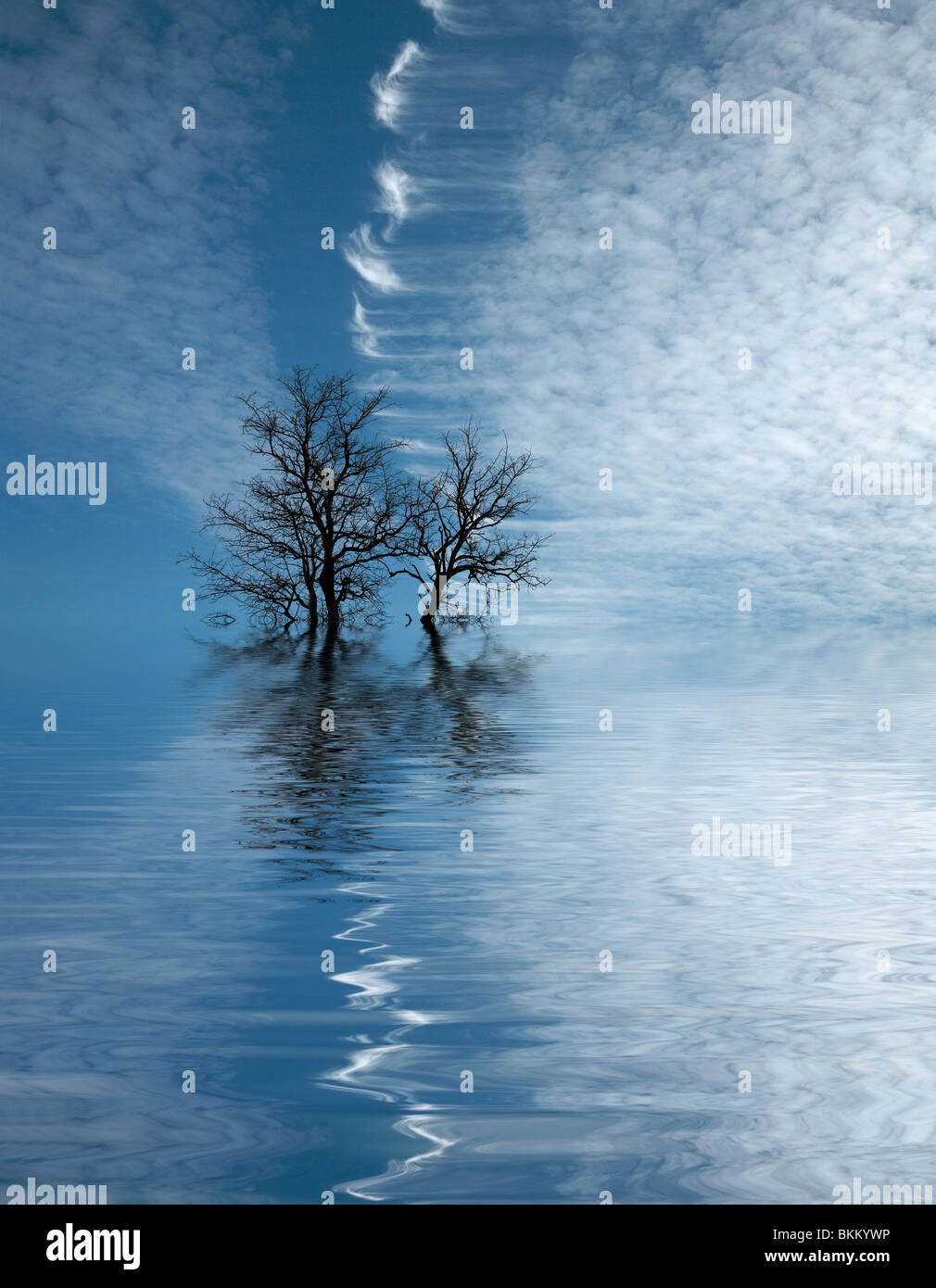 Spring flooding hi-res stock photography and images - Alamy