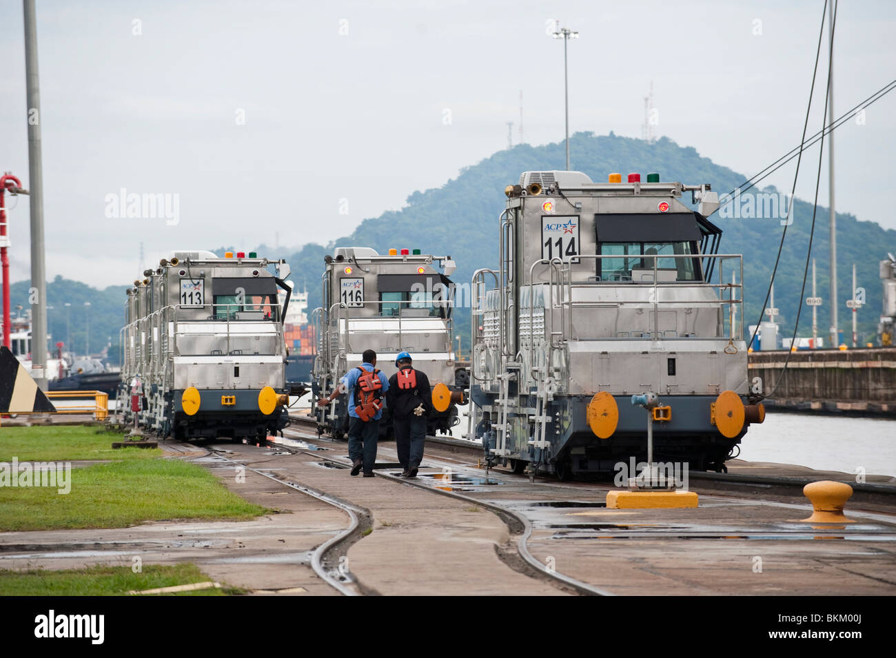 Panama Canal Locomotives otherwise Known as Mules that guide the