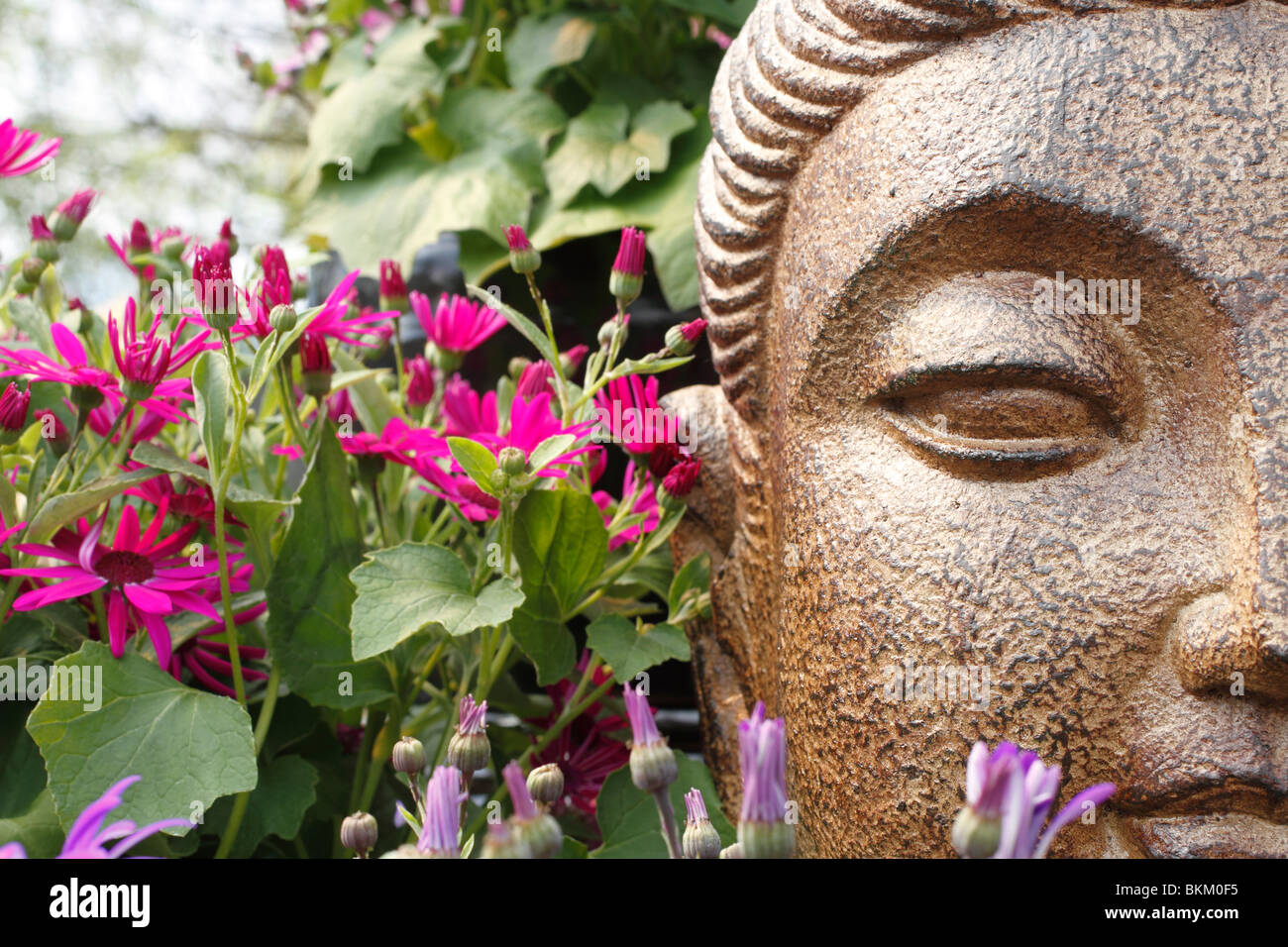 Brookfields garden centre christmas