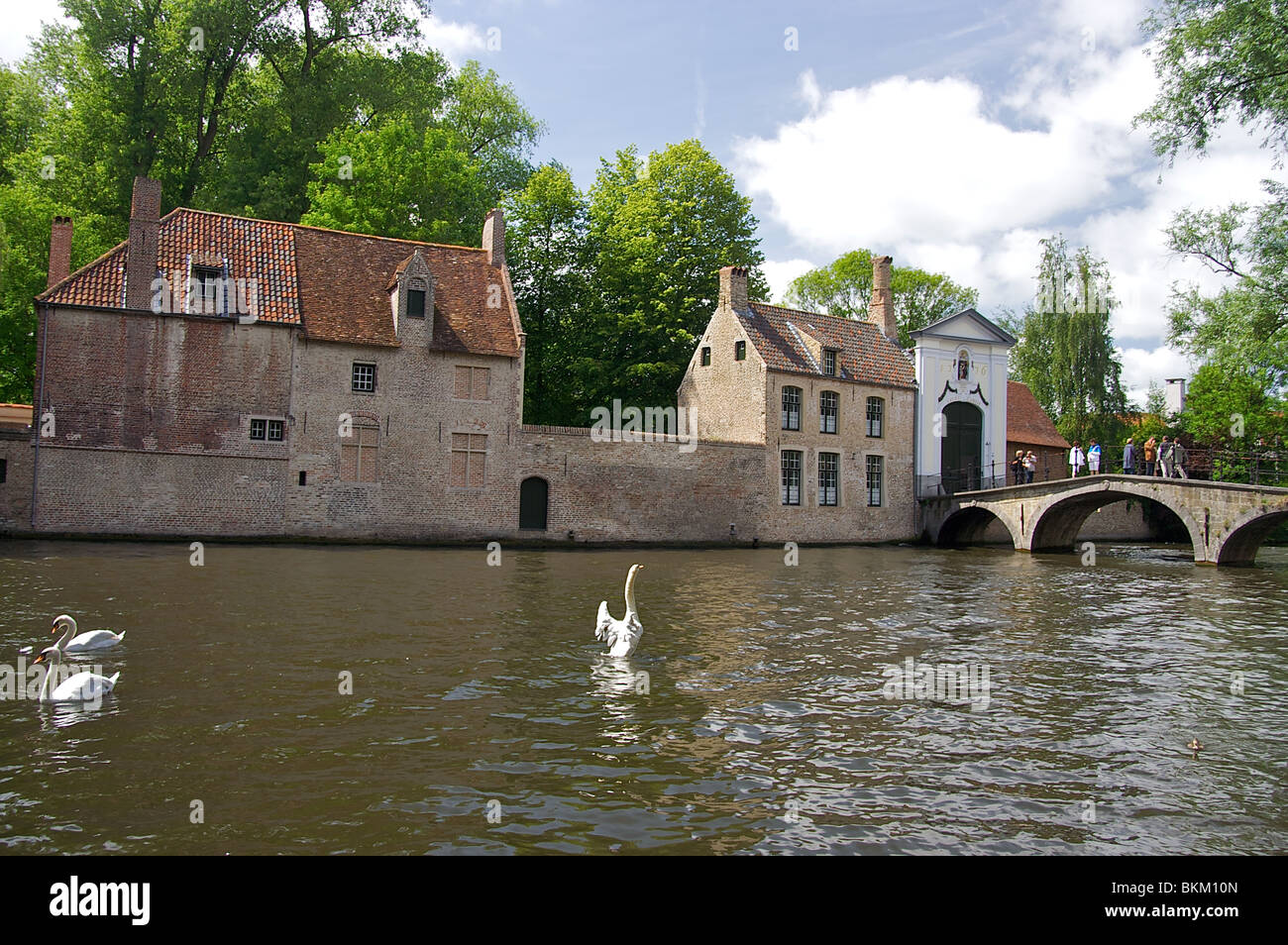 Swans in the water amidst historic architecture in Bruges, Belgium.  People on a bridge in the distance admire the view. Stock Photo