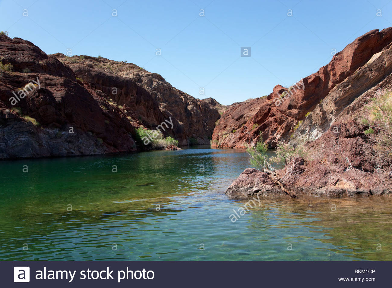 Copper Canyon Lake Havasu California Stock Photo 29329014 Alamy