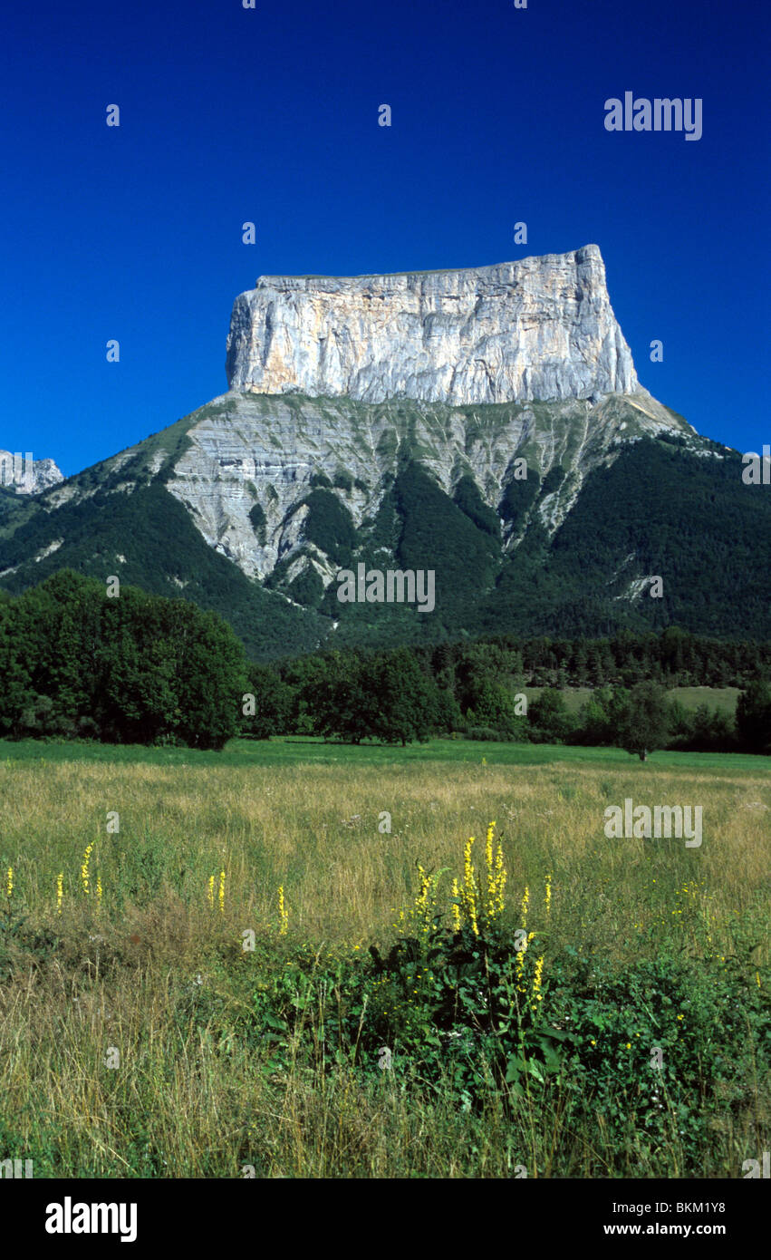 Mont Aiguille (2085m) Peak, Limestone Mesa or Mountain and Wildflower Meadow, Le trièves, Vercors Regional Park, Isère, French Alps, France Stock Photo