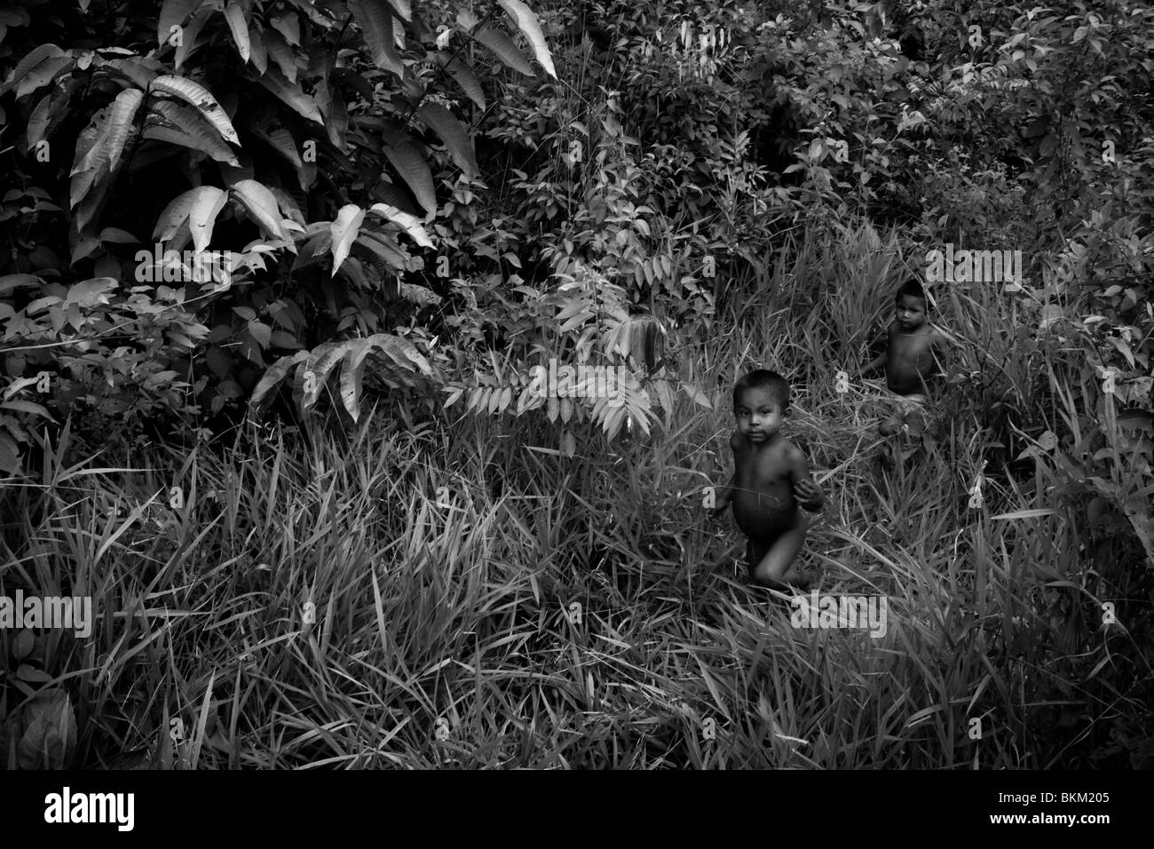 Nukak kids passing through a dense jungle around their refugee camp close to San Jose del Guaviare, Colombia. Stock Photo